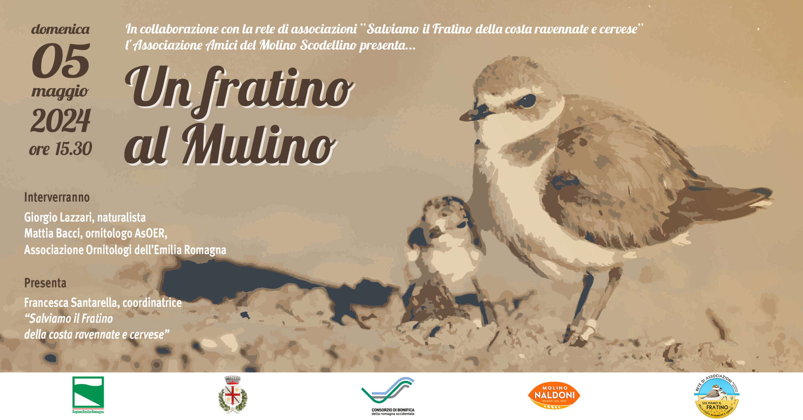 banner un fratino al mulino